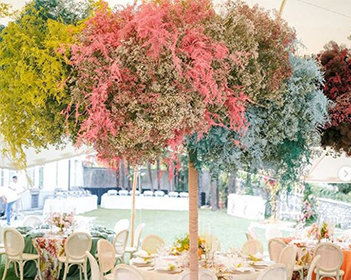 Exotic Floral Decor in Weddings!